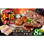 石垣牛 あぐー豚 ハンバーグセット 800g