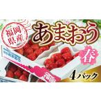 ふるさと納税 いちご 福岡県 宇美町 期間限定発送 いちご あまおう 福岡産あまおう 春 4パック 南国フルーツ 福岡県 宇美町 um40azo970002 イチゴ 苺 フルー…