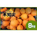 ふるさと納税 みかん・柑橘類 デコポン 熊本県 玉名市 訳あり 不知火 熊本県産 8kg | フルーツ 果物 くだもの 柑橘 みかん ミカン オレンジ しらぬい 熊本県 …