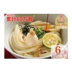 ふるさと納税 うどん 生・半生めん 香川県 善通寺市  １〜３ヶ月程度で発送 さぬき生うどん ６食 セット（２人前x３袋）