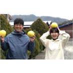 ふるさと納税 みかん・柑橘類 高知県 宿毛市 彩り柑橘園の土佐文旦家庭用5kg