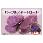 野菜類 サツマイモ 2026年度産 パープルスイートロード 約5…