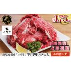 牛肉 カレー シチュー カミチクブランド 上村牛切り落とし …