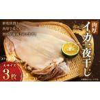 ふるさと納税 干物 イカ 北海道 様似町 肉厚 イカ一夜干し 大 3枚