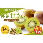 果物類 博多 甘うぃ 約1.4kg