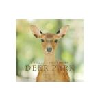切手 写真 はがき 奈良の鹿 写真集 DEER