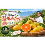 温州みかん みかん 約3.5kg