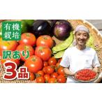 野菜類 令和8年産 訳あり無農薬栽培 野菜セット 3品