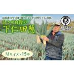 fu.... налог овощи вид лук порей Gunma префектура внизу . рисовое поле блок ... вызывающий чувство гордости внизу . рисовое поле .(M размер 15шт.@)...... лук порей лук-батун король лук порей dono sama лук порей Special производство питание вдоволь бренд...