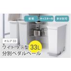 省スペースでおしゃれに分別 オルア33