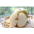 ふるさと納税 梨 長野県 松川町 KW04-25A 梨 二十世紀 約3kg(5〜9玉) 松川町産 贈答 / 9月中旬頃〜発送予定 // 長野県 南信州 松川町 和梨 梨 なし ナシ …