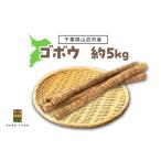 人参 大根 他根菜 8月中旬~ ゴボウ 約5kg