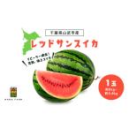 スイカ レッドサンスイカ 約8kg~約9.8kg×1玉