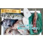 旬の鮮魚等 鮮魚セット 若狭の恵み 鮮魚ボックス