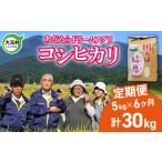米 コシヒカリ 定期便 5kg