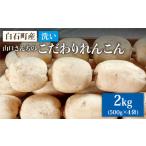 人参 大根 他根菜 2026年9月~発送 農家直送