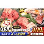 牛肉 焼肉 バーベキュー 3回定期便 佐賀牛