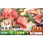 牛肉 焼肉 バーベキュー 6回定期便 佐賀牛