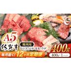牛肉 焼肉 バーベキュー 12回定期便 佐賀牛