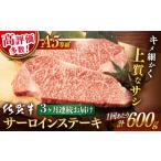 牛肉 サーロイン 3回定期便 佐賀牛 A5 ステーキ 600g