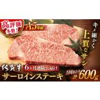 牛肉 サーロイン 6回定期便 佐賀牛 A5 ステーキ 600g