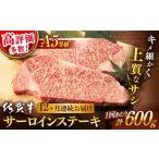 牛肉 サーロイン 12回定期便 佐賀牛 A5