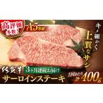 牛肉 サーロイン 3回定期便 佐賀牛 A5 サーロインステーキ …