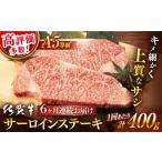 牛肉 サーロイン 6回定期便 佐賀牛 A5 ステーキ 400g