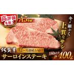 牛肉 サーロイン 12回定期便 佐賀牛 A5