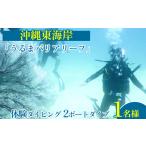 体験チケット 沖縄東海岸 うるまバリアリーフ