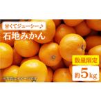 果物類 みかん 石地 約5kg