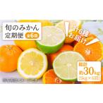 果物類 みかん 11月から毎月届く 6回定期便