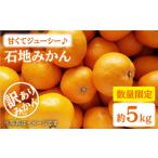 果物類 みかん 西海 訳あり 石地みかん 約5kg