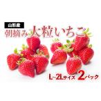 ふるさと納税 いちご 山形県 山形市 真っ赤に育った冬の贅沢 朝摘み大粒いちご FZ23-439