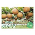 ふるさと納税 梨 栃木県 芳賀町 先行予約 「にっこり」 梨 5kg 箱 6〜8玉 栃木県 芳賀町産 | 梨 なし 果物 フルーツ 秋の味覚 産地直送 期間限定 季節限定 季…