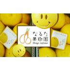 ふるさと納税 みかん・柑橘類 高知県 宿毛市  家庭用 土佐文旦 約5kg （L〜4L、約8〜13個） 成田果樹園 家庭用 約5kg