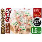 野菜類 i535 訳あり 九州産たけのこ水煮 200g×8P
