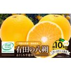 ふるさと納税 みかん・柑橘類 和歌山県 湯浅町 ZE6154n_ 2026年先行予約 有田の八朔 (はっさく) 10kg (2S〜Mサイズ混合）まごころ手選別