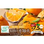 ふるさと納税 みかん・柑橘類 和歌山県 湯浅町 ZE6108n_有田の不知火(しらぬひ) 訳あり　家庭用 7.5kg 小玉（?S〜Lサイズ混合）まごころ手選別