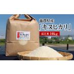 米 令和8年度産 近江米 キヌヒカリ 10kg