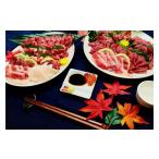 馬肉 産馬刺しセット約1.1kg 盛合せ