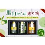 みかん 柑橘類 020-576 里山からの