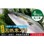 旬の鮮魚等 11 1~1 15お届け 年末年始用