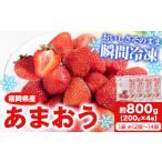 いちご 冷凍あまおう 約800g