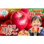 果物類 りんご ふじ 3kg