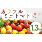 fu.... налог помидор мини помидоры Chiba префектура . улица город 1.3kg... сельское хозяйство место. красочный мини помидоры l помидор мини помидоры помидор 1.3kg. улица Chiba Watanabe труба утро ..