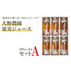 果汁飲料 りんご 果実から搾った 100%ジュース