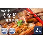 ふるさと納税 うなぎ 高知県 黒潮町 四万十うなぎ 缶詰 蒲焼 鰻 うなぎ かば焼き ウナギ缶 ウナギ 四万十産 蒲焼き缶詰 2缶セット 山椒付き 高知 魚 魚介類 海…