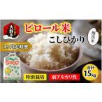 ふるさと納税 無洗米 福井県 大野市  令和7年産 新米 3ヶ月定期便 こだわりの米 弱アルカリ性のピロール米 こしひかり 無洗米 5kg×3回 計15kg