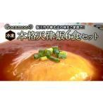 惣菜 レトルト 冷凍 Goenmonの本格天津飯 6食